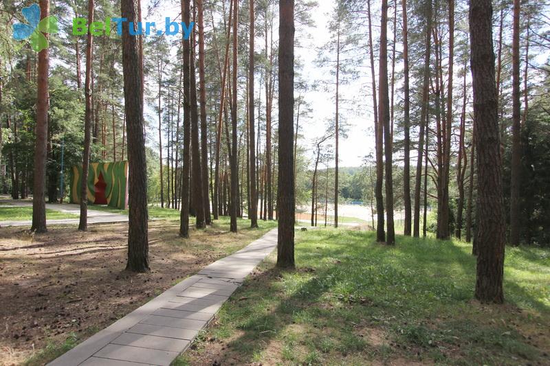 Rest in Belarus - recreation center Letzy - Territory