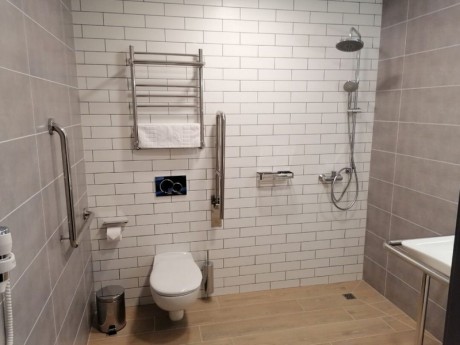 Single 1-room (for people with disabilities), hotel