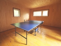recreation center Pogorany - Table tennis (Ping-pong)