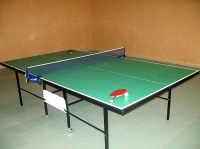 hunter's house Gat - Table tennis (Ping-pong)
