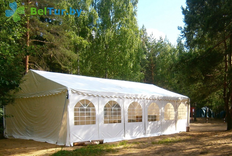 health-improving camp for children Rodnik OL