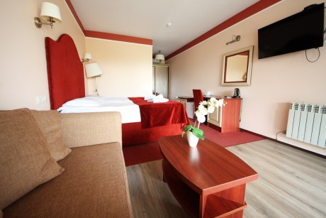 1-room double junior suite, hotel