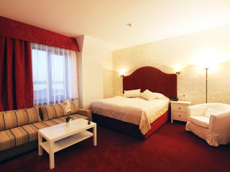 1-room double junior suite, hotel