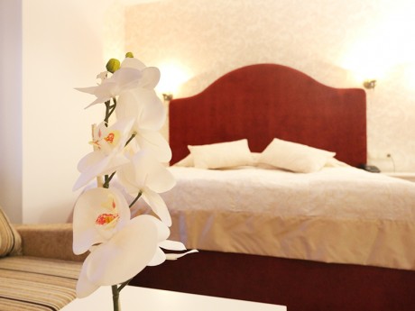 1-room double junior suite, hotel