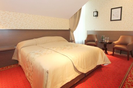 2-местный 1-комнатный double standard, корпус №1 (главный), корпус №2