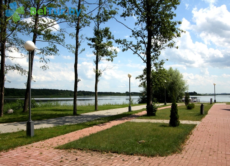 Браславские озера 2024. Озеро Дривяты. Дривяты Белоруссия. Белоруссия турбаза Дривяты. Белоруссия оз Дривяты.