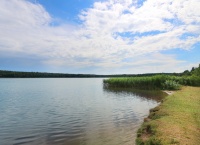 база отдыха Лесное озеро - Водоём