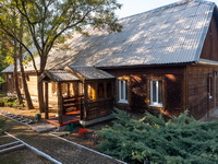 Сосны