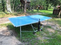 tourist complex Dudinka City - Table tennis (Ping-pong)