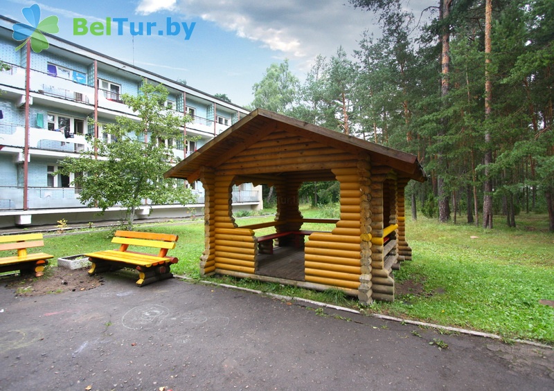 health-improving camp for children Zvezdny